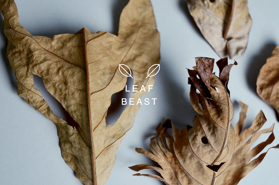 leaf-beast-magnolia-obovata-natural-art-baku-maeda-5
